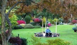 绿洲在线观看,探索未知世界的奇幻之旅