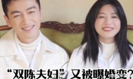 双陈夫妇离婚爆料视频,揭秘视频曝光惊人细节