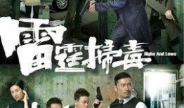 雷霆扫毒30集在线观看,揭秘毒品背后的惊心动魄